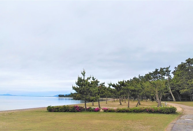 植栽されたびわ湖畔